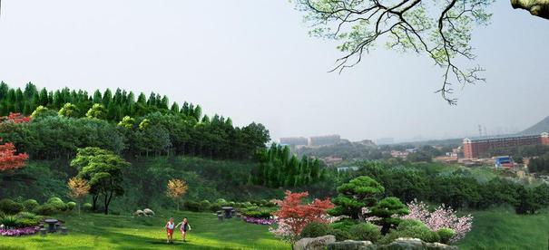 植被恢復(fù)